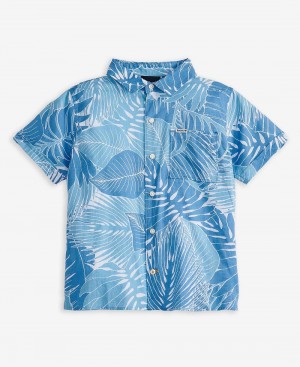 Haine Copii Barbour Boys' Cornwall Shirt Albastri | Romania_BAR25120